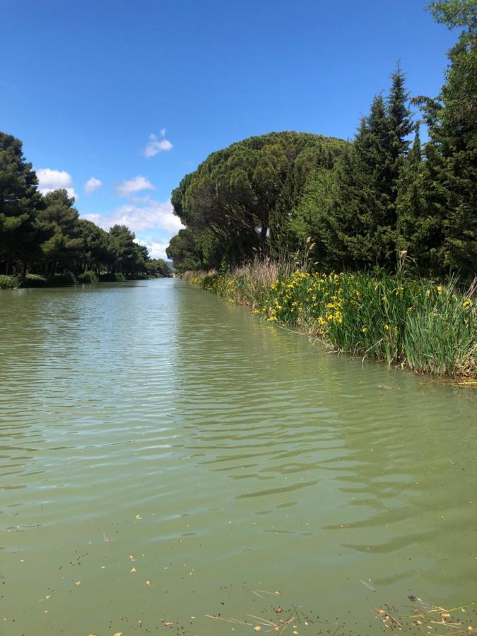 Villa Pintourina Sallèles-dʼAude Εξωτερικό φωτογραφία